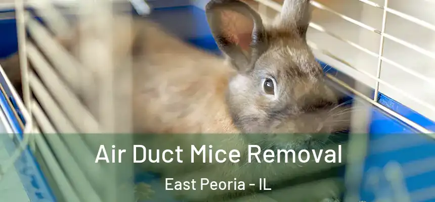 Air Duct Mice Removal East Peoria - IL