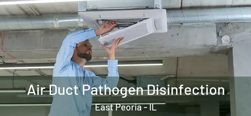  Air Duct Pathogen Disinfection East Peoria - IL