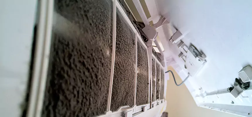 Preventive Air Duct Bacteria Removal in East Peoria