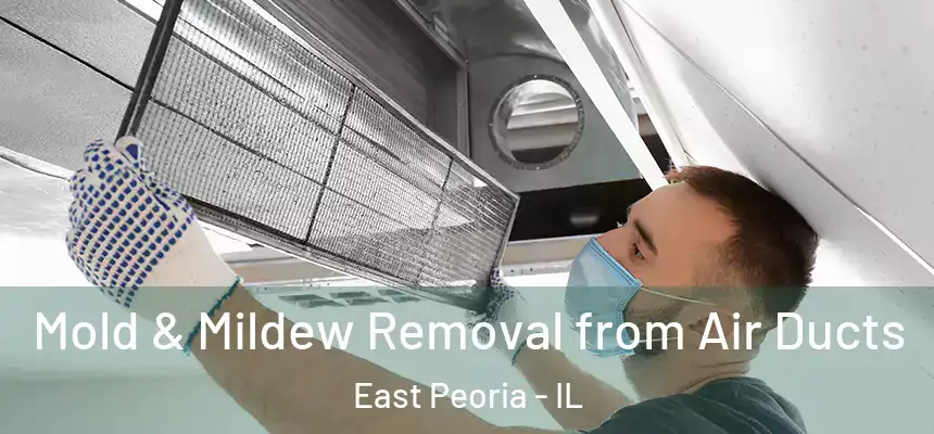 Mold & Mildew Removal from Air Ducts East Peoria - IL
