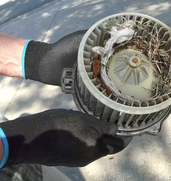 About Air Duct Rat Removal in East Peoria, IL